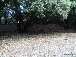 sco di Centorbi-18-10-2020 12